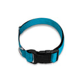 Eggs Pattern Print Dog Collar