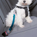 Eggs Pattern Print Dog Seat Belt