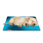 Eggs Pattern Print Pet Cooling Mat Cover