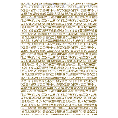 Egypt Hieroglyphs Pattern Print Curtain