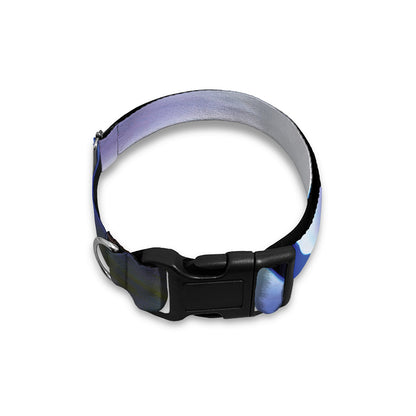 Egyptian Eye Of Horus Print Dog Collar