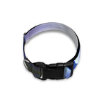 Egyptian Eye Of Horus Print Dog Collar