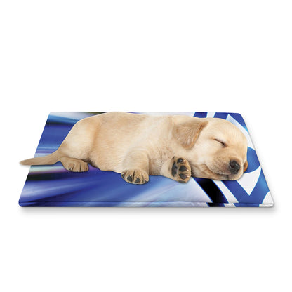 Egyptian Eye Of Horus Print Pet Cooling Mat Cover