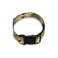Egyptian Hieroglyphs Pattern Print Dog Collar