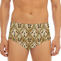 Egyptian Hieroglyphs Pattern Print Men's Triangle Swim Briefs