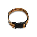 Egyptian Hieroglyphs Print Dog Collar