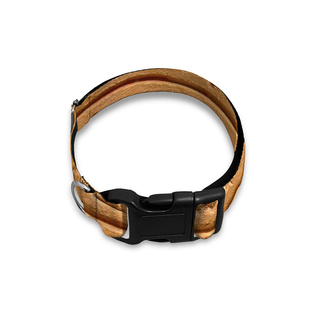 Egyptian Hieroglyphs Print Dog Collar