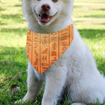 Egyptian Hieroglyphs Symbol Print Over The Collar Dog Bandana