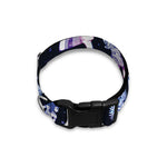 Egyptian Tribal Symbols Print Dog Collar