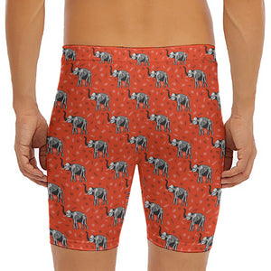 Elephant Skeleton X-Ray Pattern Print Men's Long Boxer Briefs