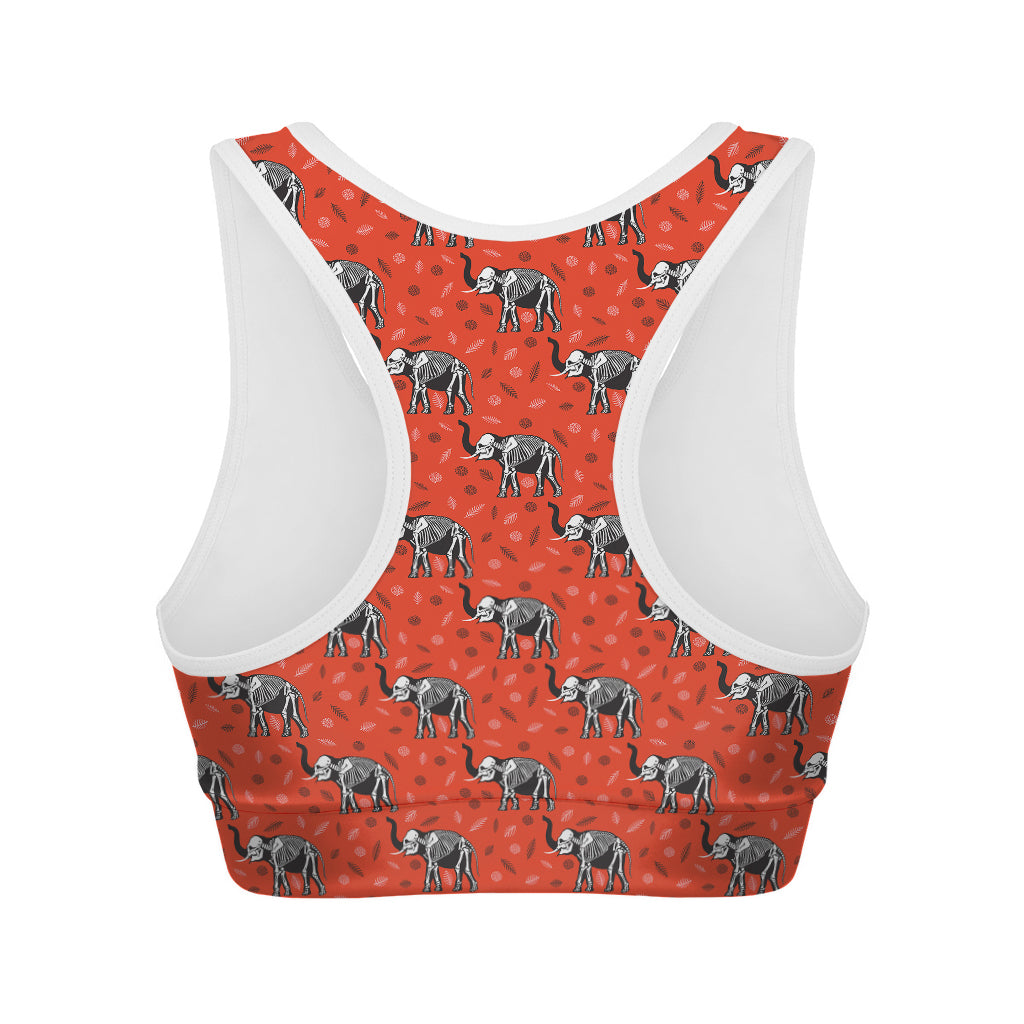 Elephant Skeleton X-Ray Pattern Print Women's Sports Bra