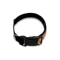 Embroidery Tiger And Flower Print Dog Collar