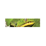 Emerald Tree Boa Snake Print Bed Runner