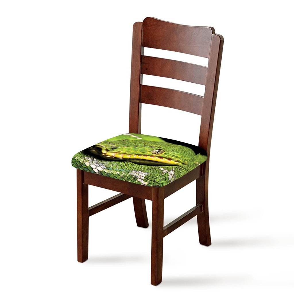 Emerald Tree Boa Snake Print Chair Cushion Cover