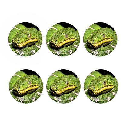 Emerald Tree Boa Snake Print Coaster Set