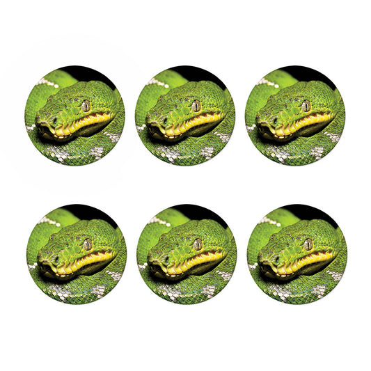 Emerald Tree Boa Snake Print Coaster Set