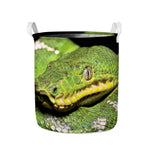 Emerald Tree Boa Snake Print Collapsible Laundry Basket