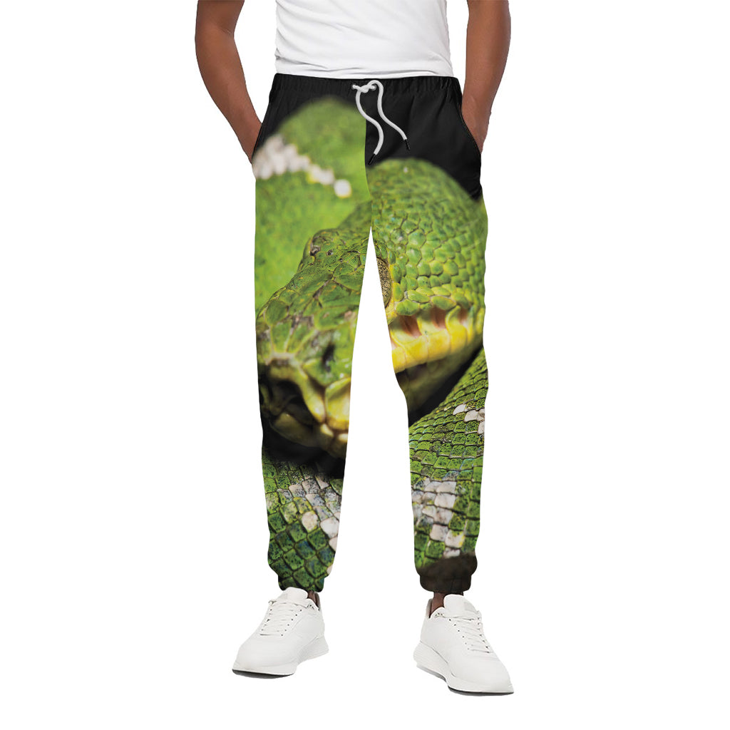 Emerald Tree Boa Snake Print Cotton Pants