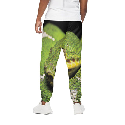 Emerald Tree Boa Snake Print Cotton Pants
