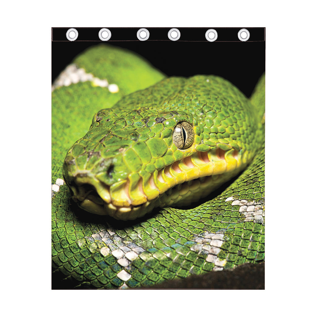 Emerald Tree Boa Snake Print Curtain