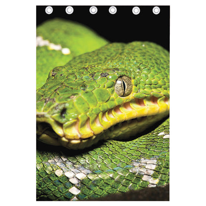 Emerald Tree Boa Snake Print Curtain