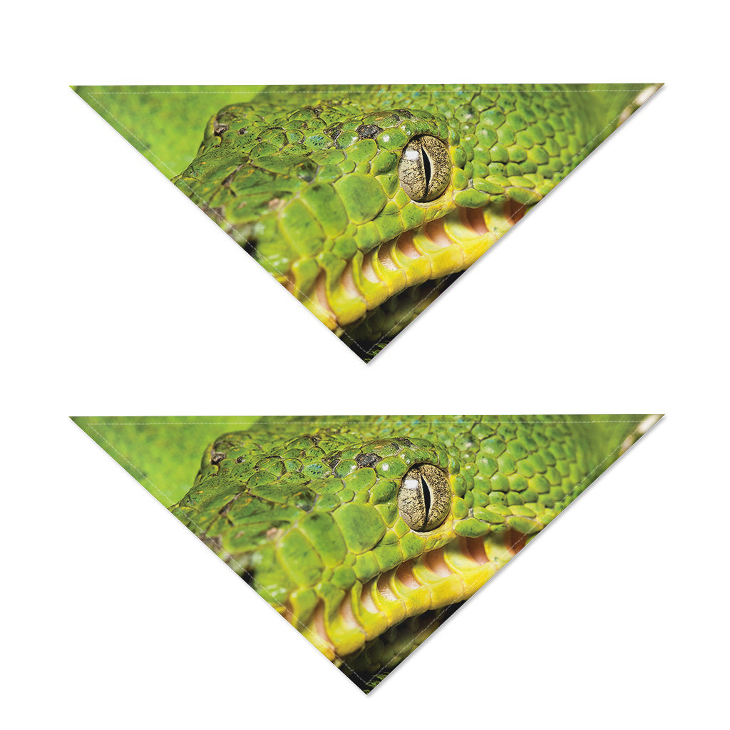 Emerald Tree Boa Snake Print Dog Bandana