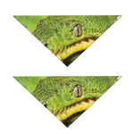 Emerald Tree Boa Snake Print Dog Bandana