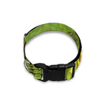 Emerald Tree Boa Snake Print Dog Collar