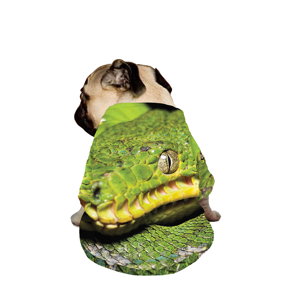 Emerald Tree Boa Snake Print Dog Zip Up Jacket