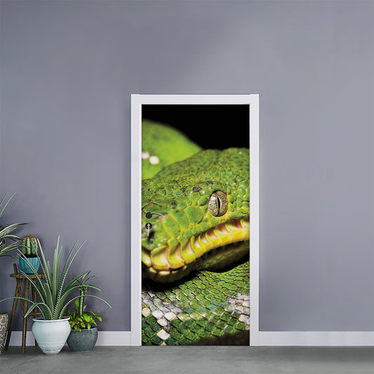 Emerald Tree Boa Snake Print Door Sticker