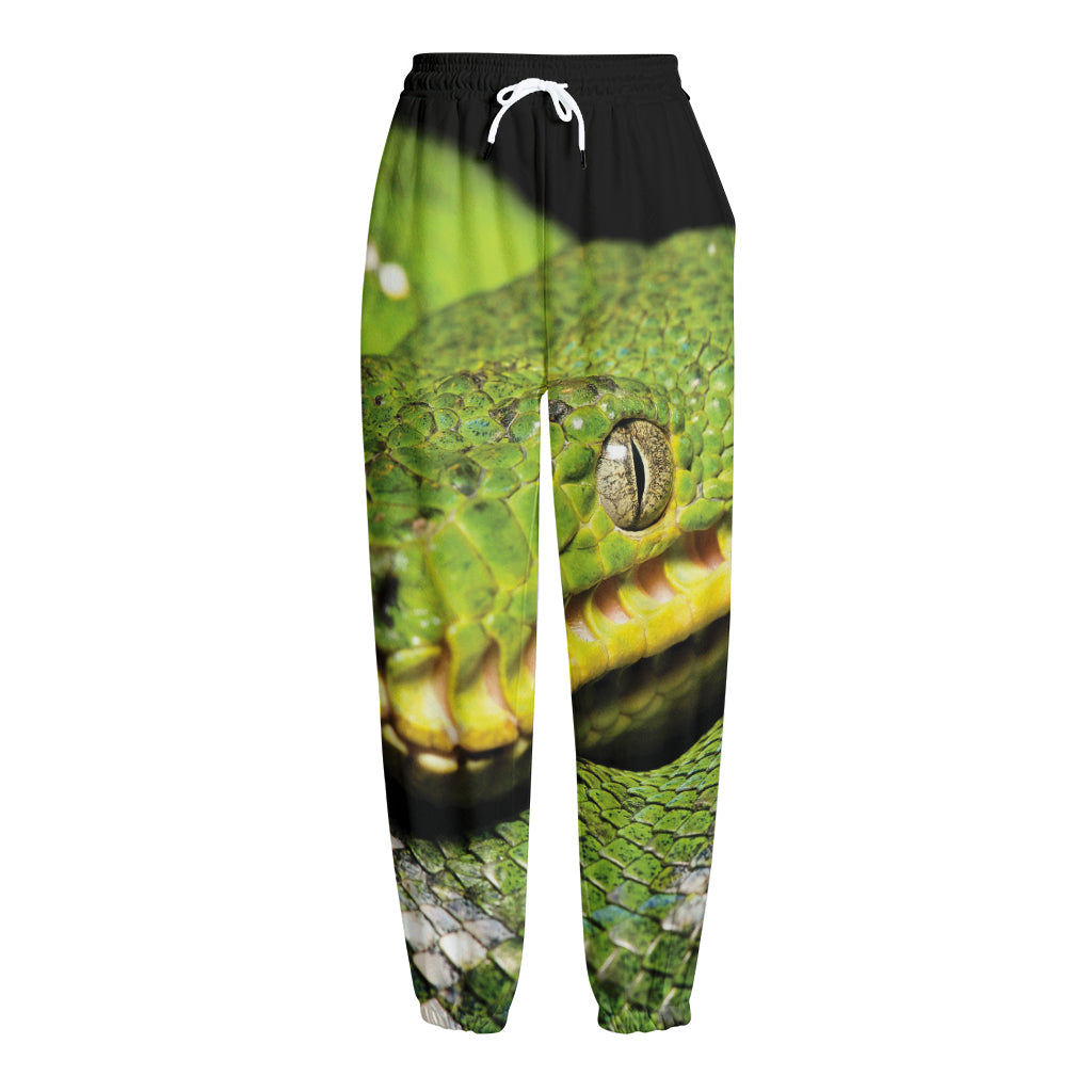 Emerald Tree Boa Snake Print Fleece Lined Knit Pants