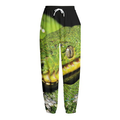 Emerald Tree Boa Snake Print Fleece Lined Knit Pants