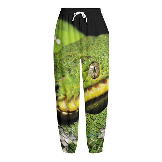 Emerald Tree Boa Snake Print Fleece Lined Knit Pants