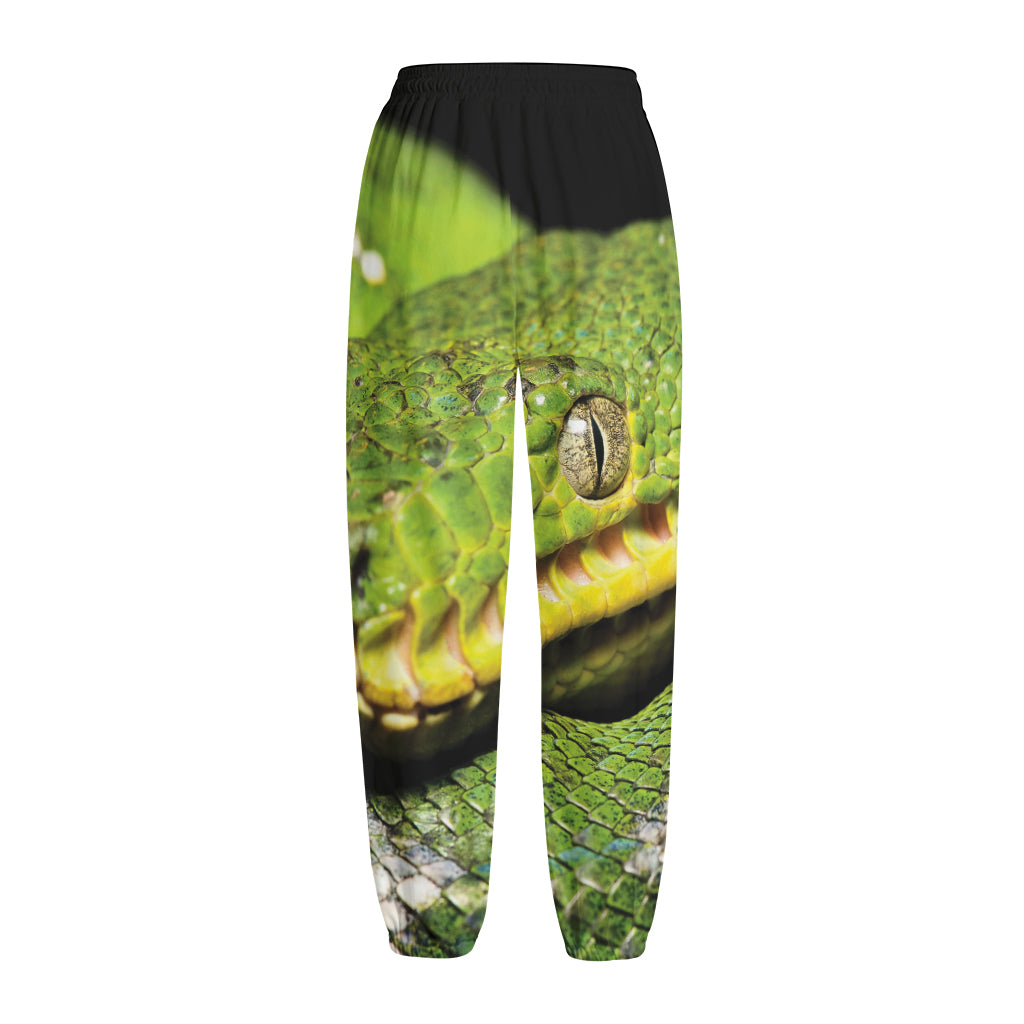 Emerald Tree Boa Snake Print Fleece Lined Knit Pants