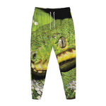 Emerald Tree Boa Snake Print Jogger Pants