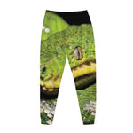 Emerald Tree Boa Snake Print Jogger Pants