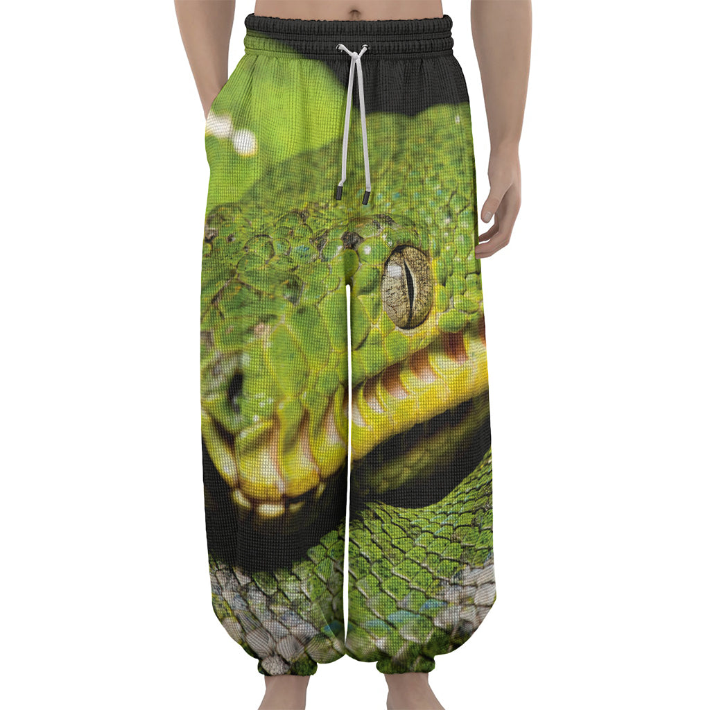Emerald Tree Boa Snake Print Lantern Pants