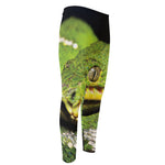 Emerald Tree Boa Snake Print Men's Compression Pants