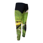 Emerald Tree Boa Snake Print Men's Compression Pants