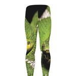 Emerald Tree Boa Snake Print Men's leggings
