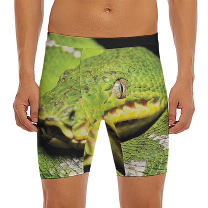 Emerald Tree Boa Snake Print Men's Long Boxer Briefs