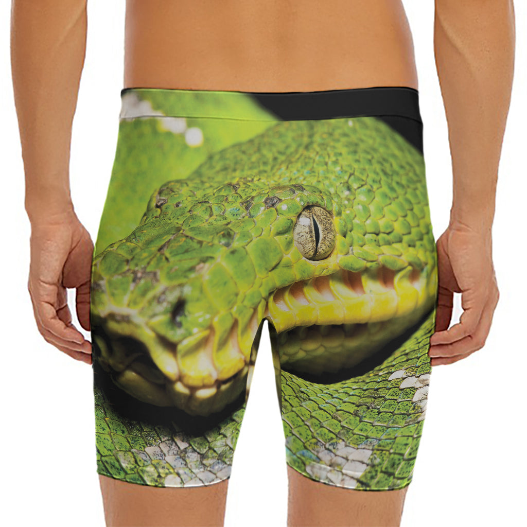 Emerald Tree Boa Snake Print Men's Long Boxer Briefs
