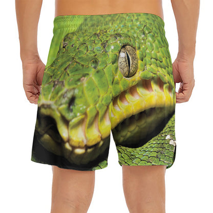 Emerald Tree Boa Snake Print Men's Split Running Shorts
