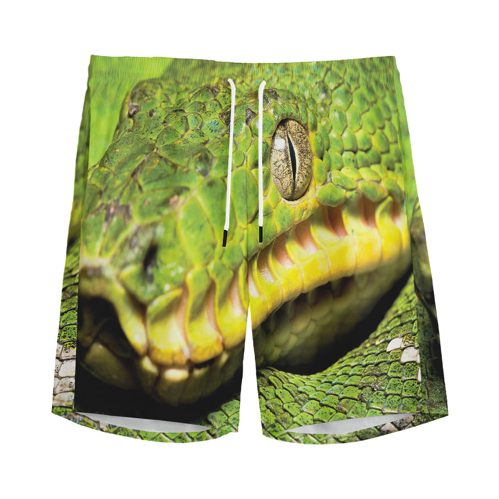 Emerald Tree Boa Snake Print Men's Sports Shorts