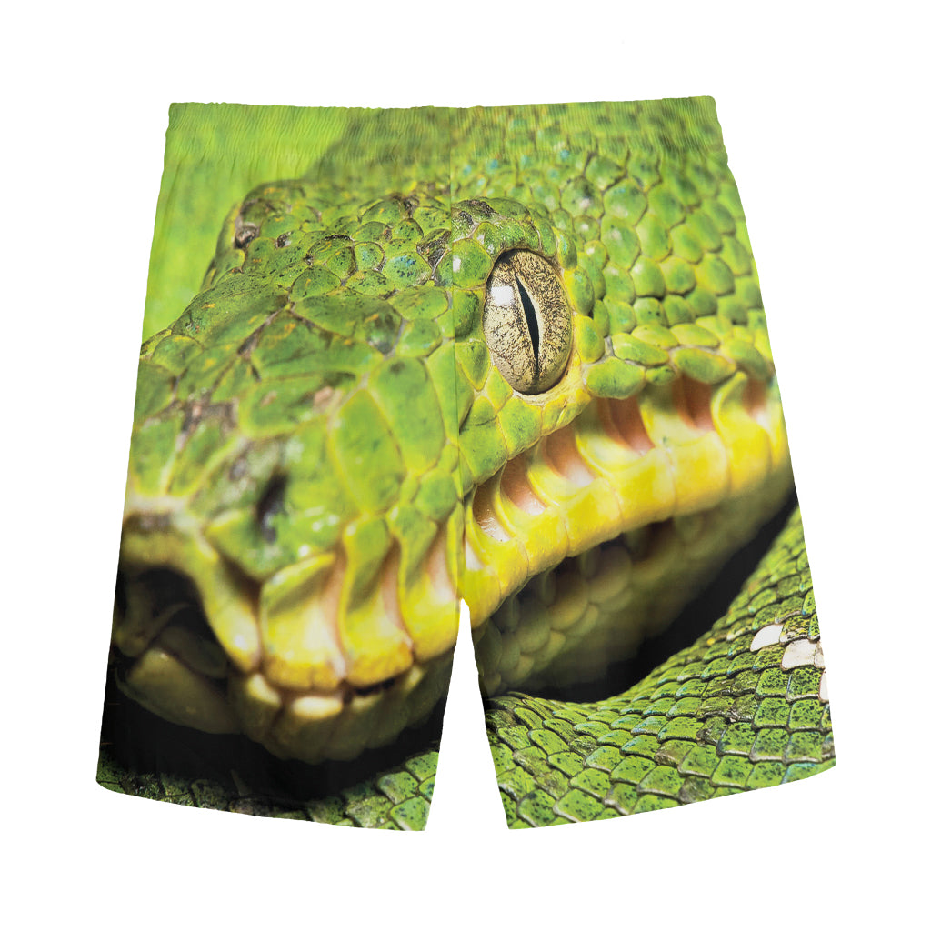 Emerald Tree Boa Snake Print Men's Sports Shorts