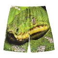 Emerald Tree Boa Snake Print Men's Swim Trunks