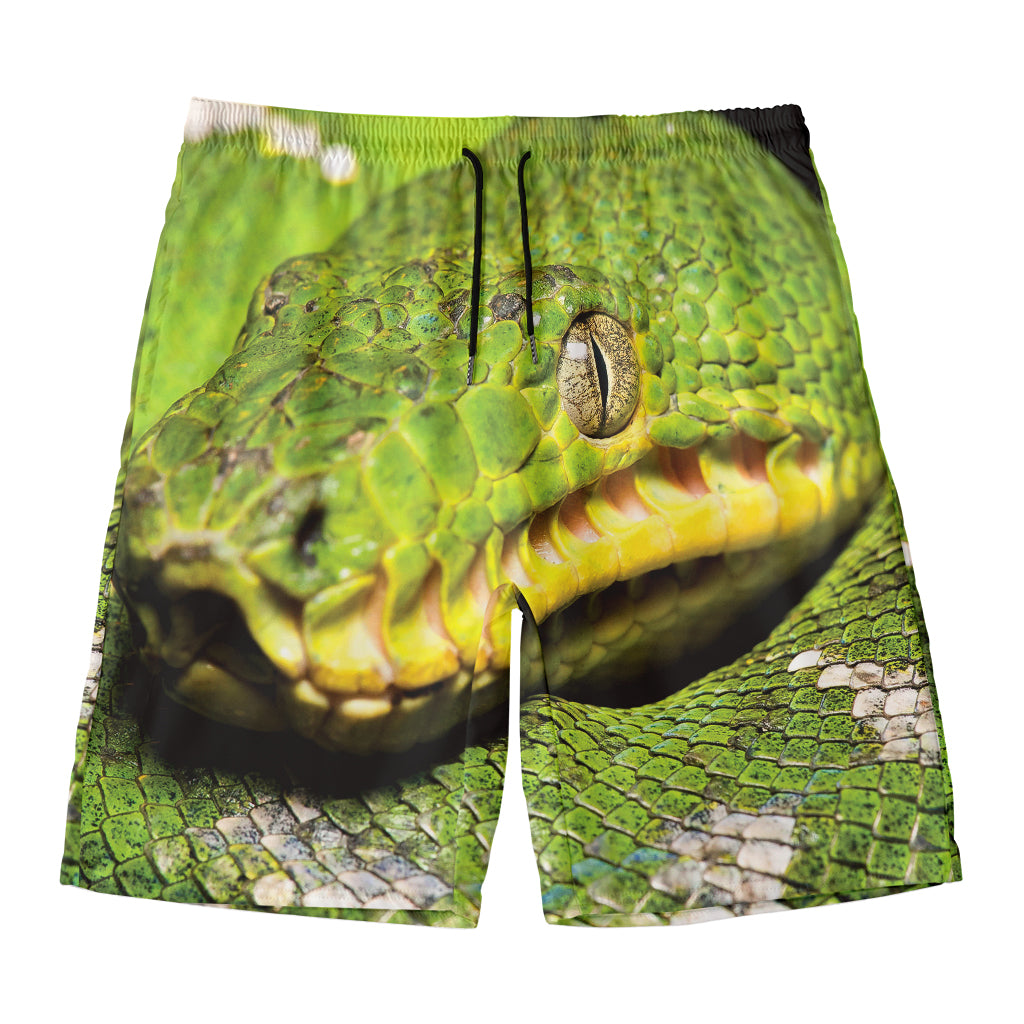 Emerald Tree Boa Snake Print Men's Swim Trunks