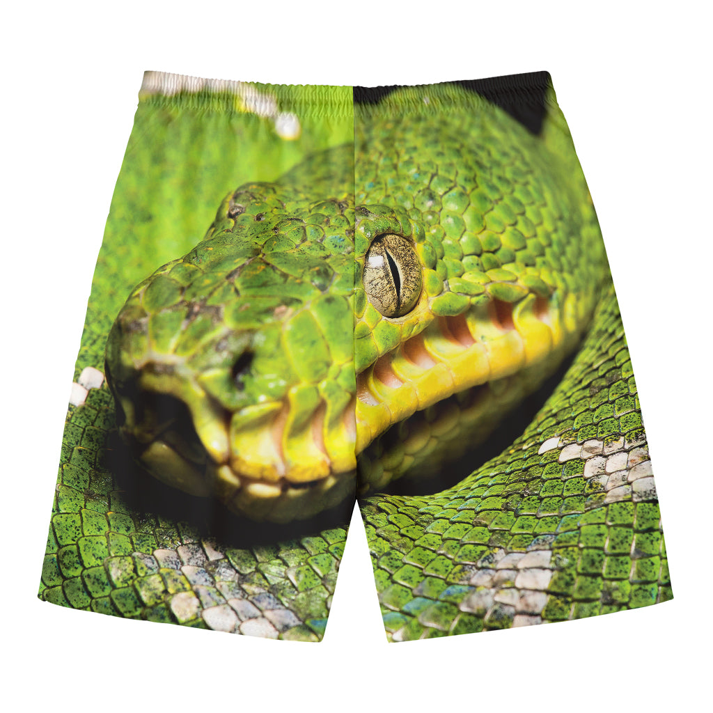 Emerald Tree Boa Snake Print Men's Swim Trunks