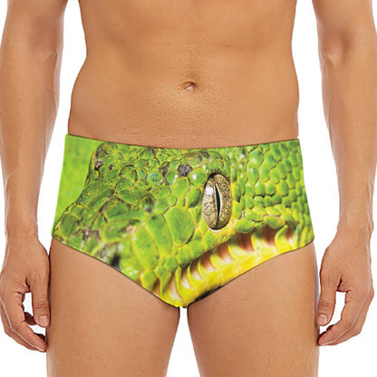 Emerald Tree Boa Snake Print Men's Triangle Swim Briefs