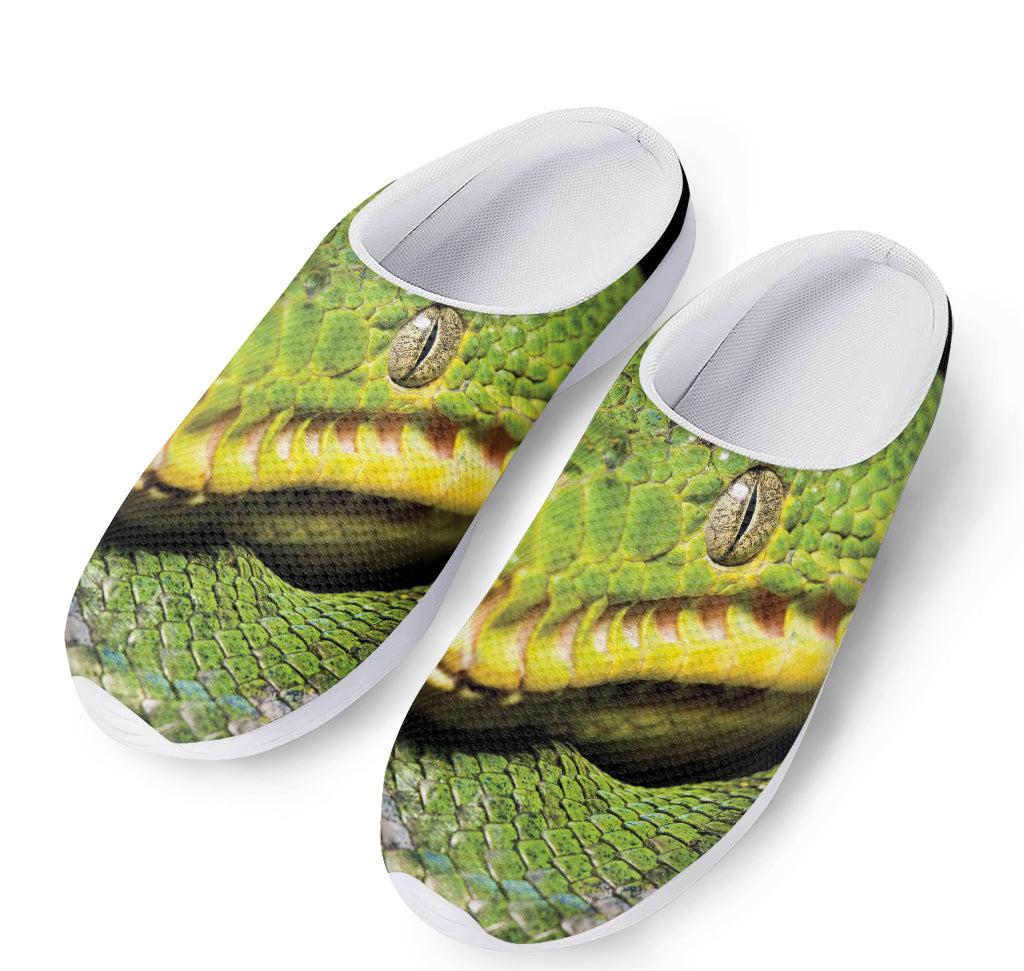 Emerald Tree Boa Snake Print Mesh Casual Shoes